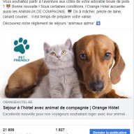 Orange Hotel : post Facebook pet friendly