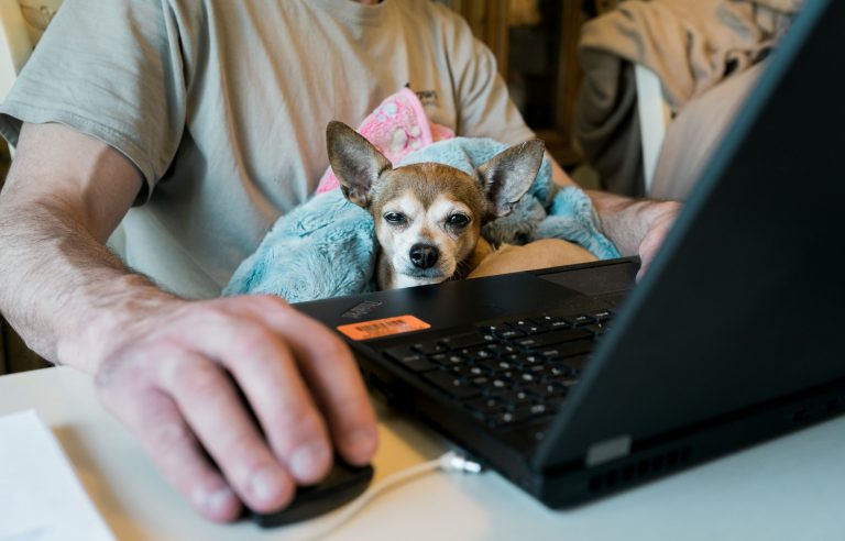 Télétravail avant, pendant et après le covid pour notre agence de marketing digital