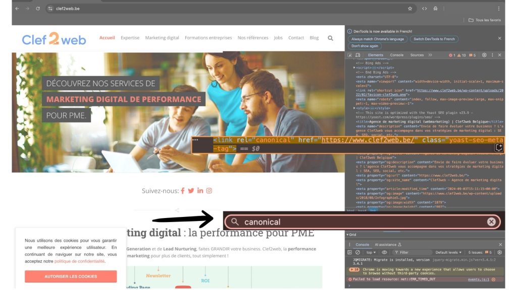 Comment voir une balise canonique manuellement ? Illustration