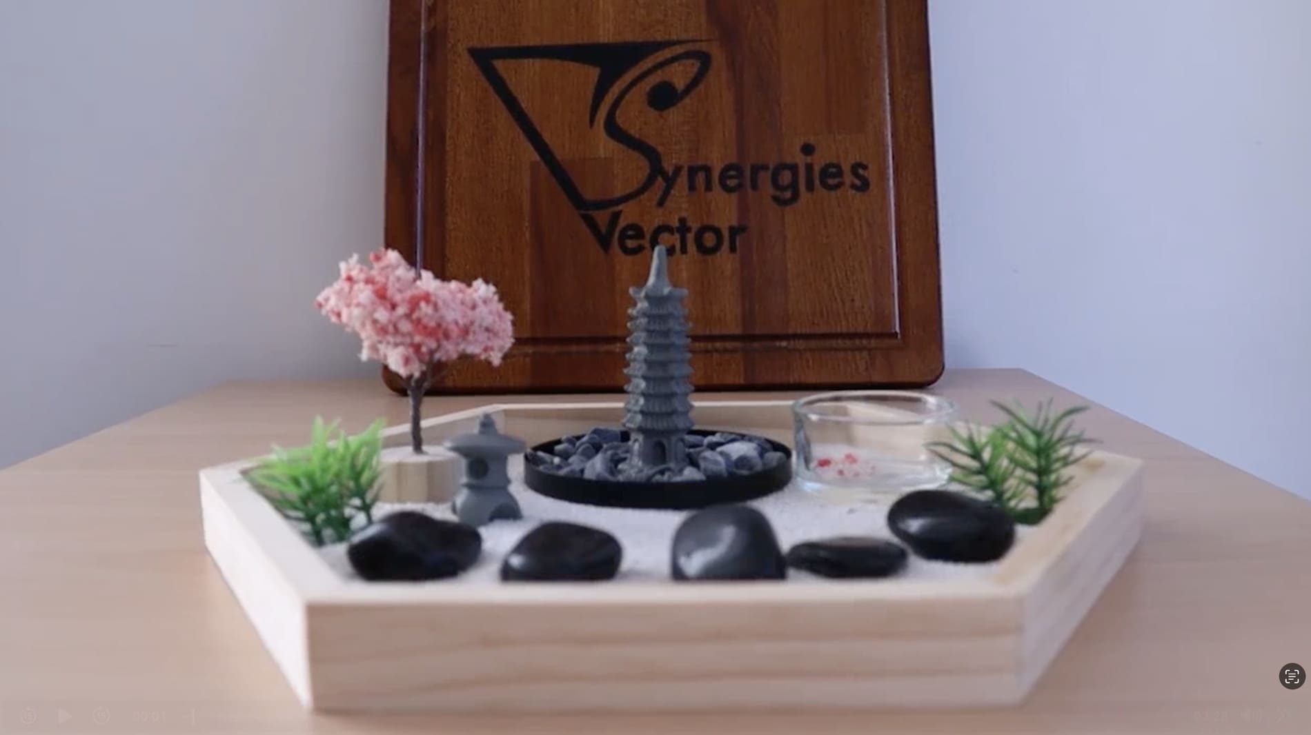 temoignage-daisho-preview