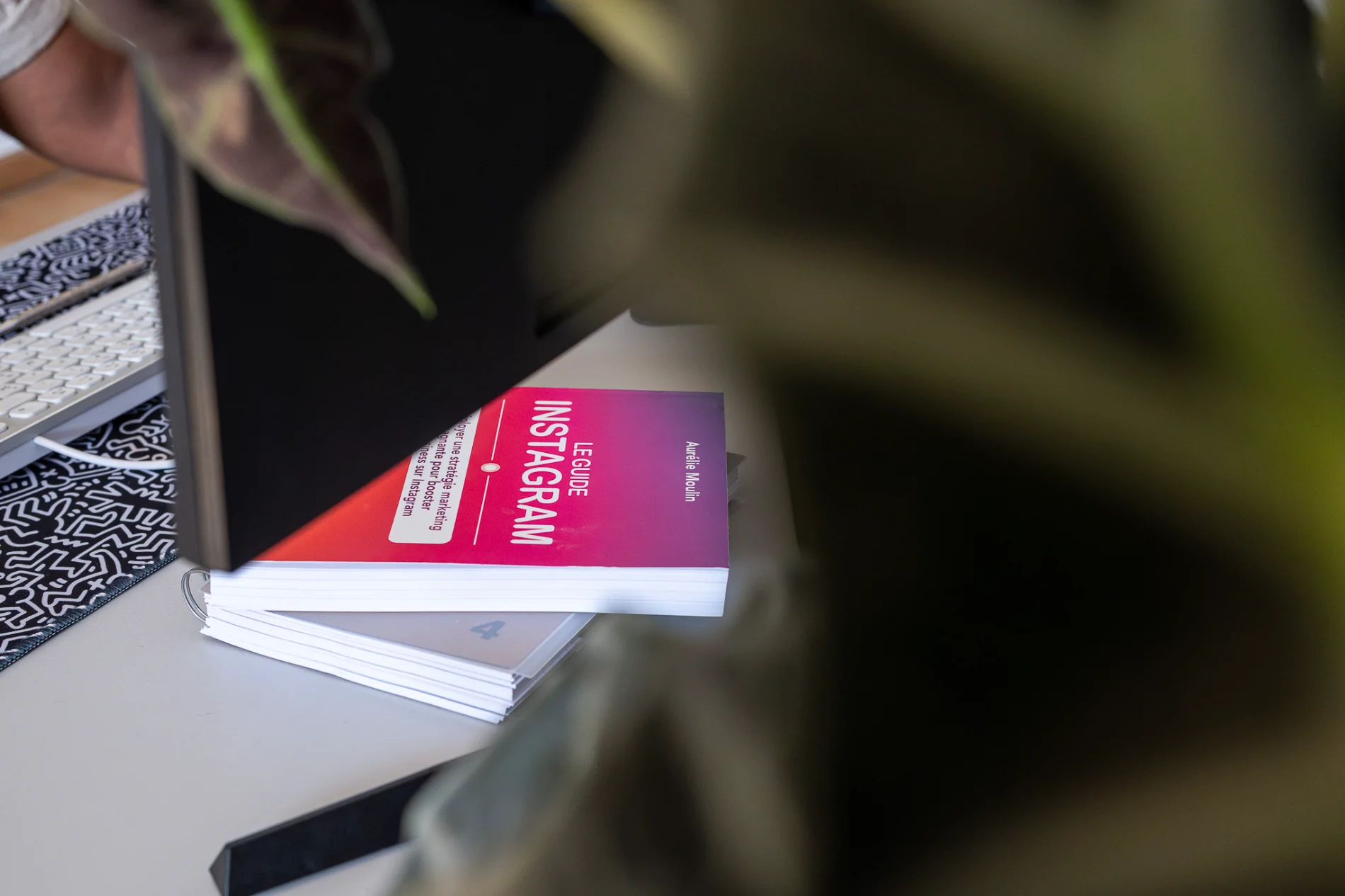 Livre "Le Guide : Instagram"