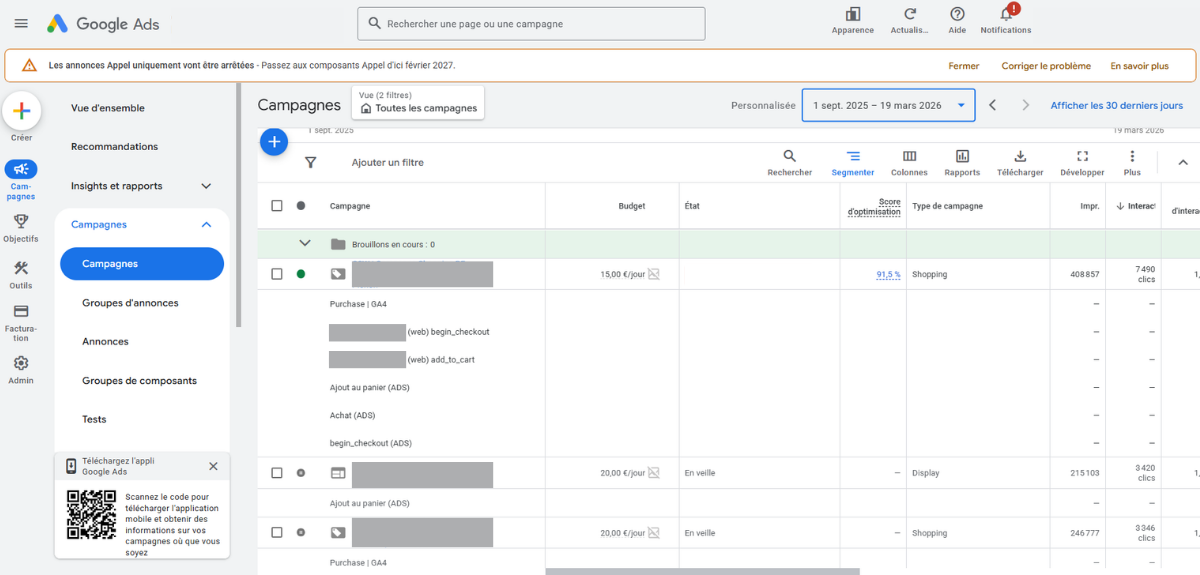 Interface Google Ads